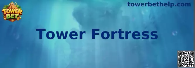 Imagen explicativa de Tower Fortress